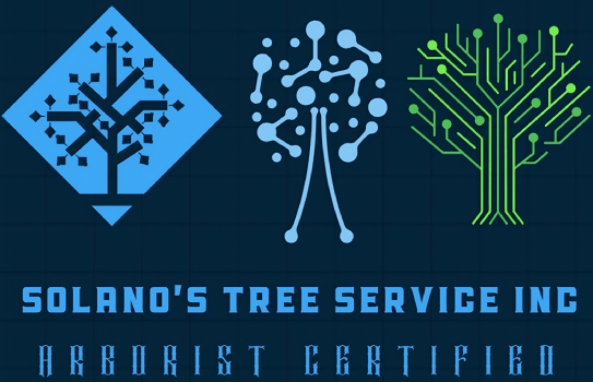 Solano's Tree Service