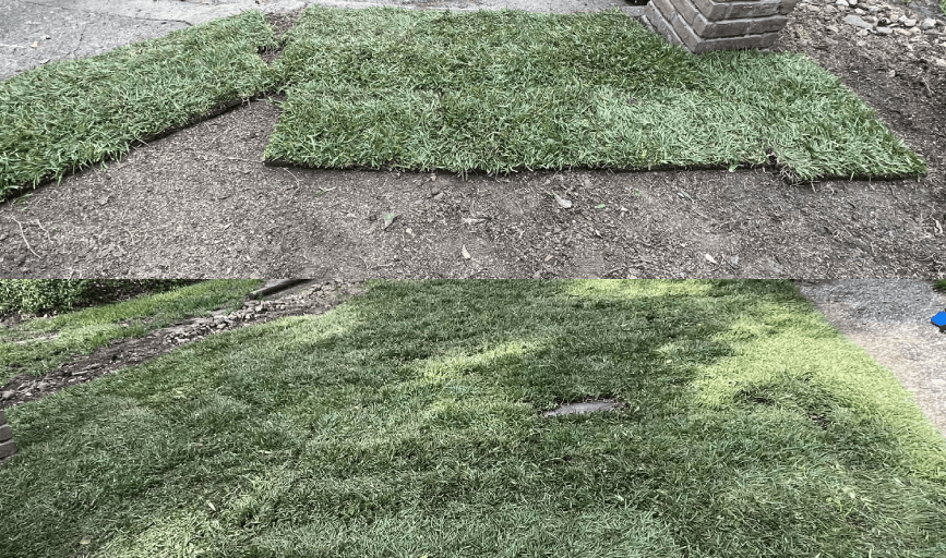SOD INSTALLATION