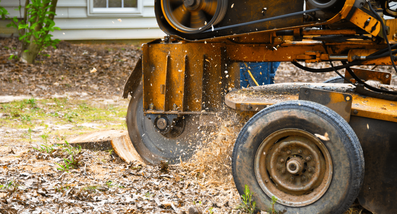 Stump Grinding