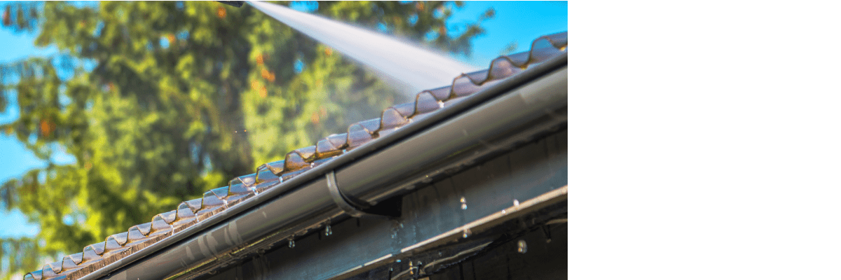Roof Cleaning