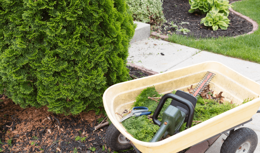 RESIDENTIAL LANDSCAPING