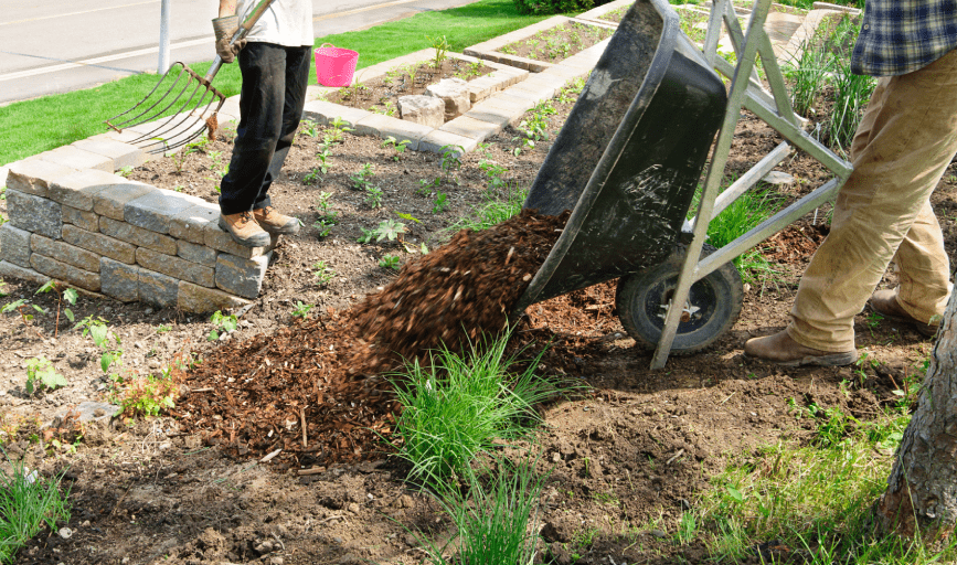 COMMERCIAL LANDSCAPING