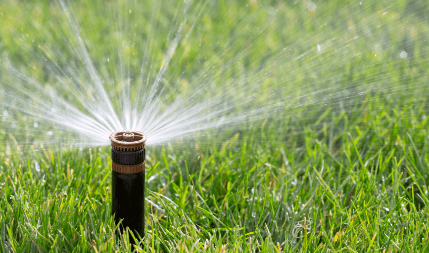 IRRIGATION SERVICES