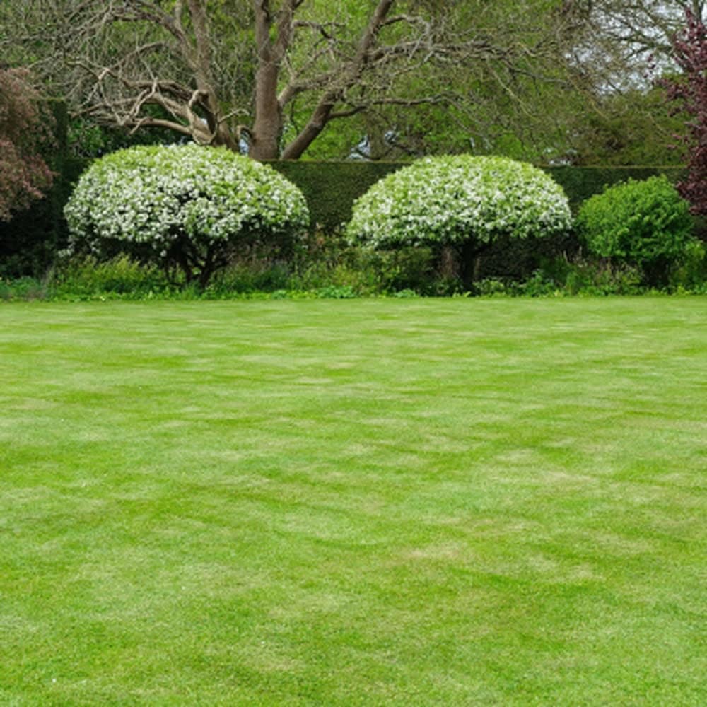 YARD LEVELING SERVICE