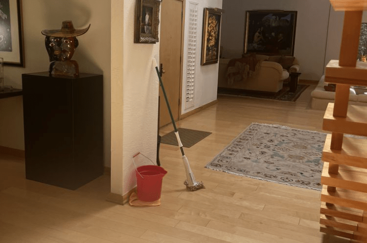 Tonya's Cleaning Service 