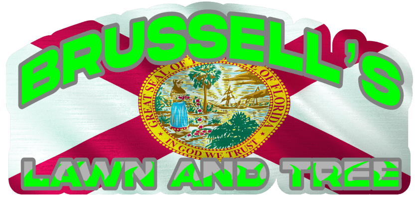 Brussell's Lawn and Tree