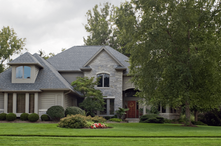 AAA Tree and Lawn Services