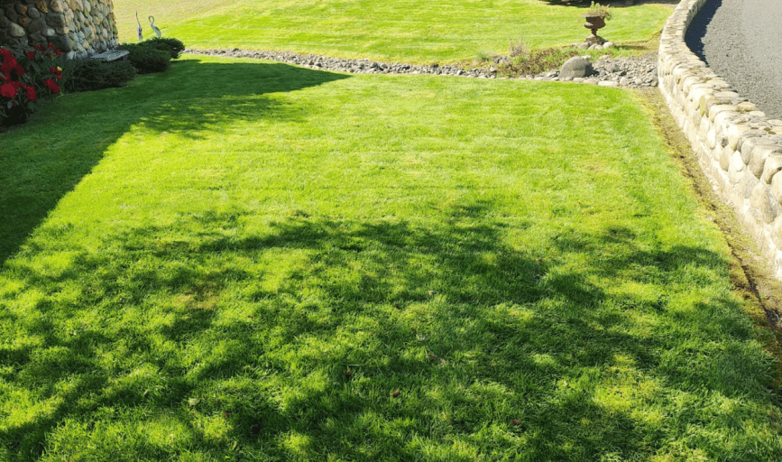 RESIDENTIAL LAWN CARE
