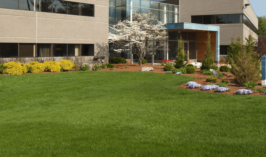 COMMERCIAL LAWN CARE