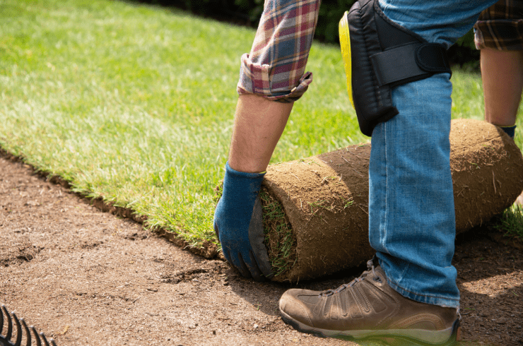 Brother Bears Lawn Care & Maintenance 