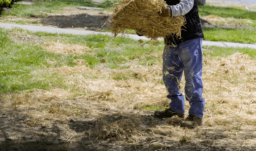 PINE STRAW INSTALLATION