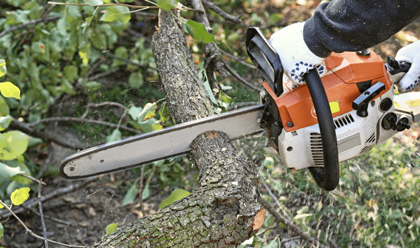 TREE SERVICES
