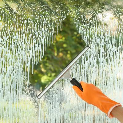 WINDOW CLEANING