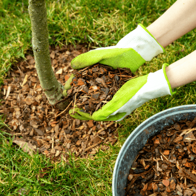 MULCHING SERVICES