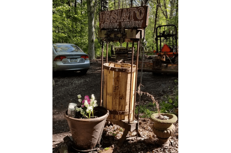 Desiato Winery in the Woods