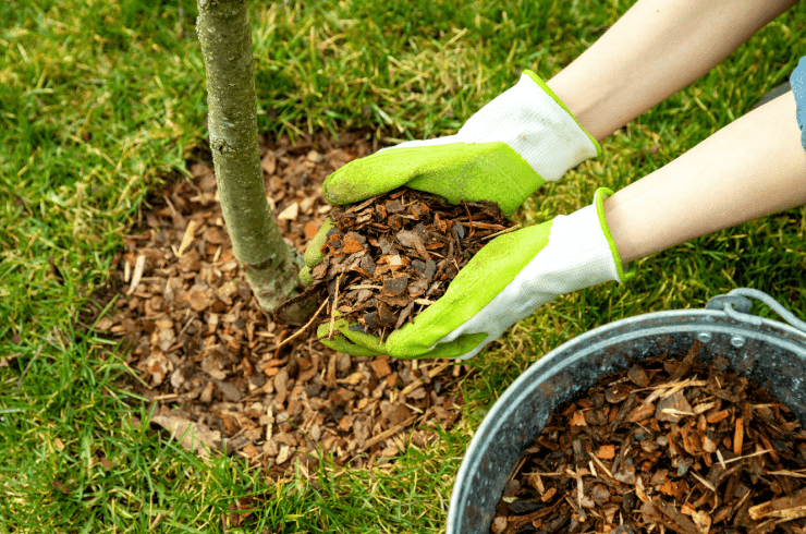 Flores-Napal Landscaping 