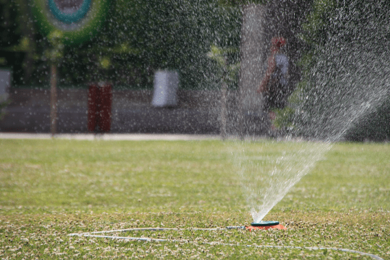 Priority Landscaping