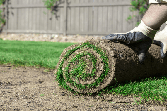 Priority Landscaping