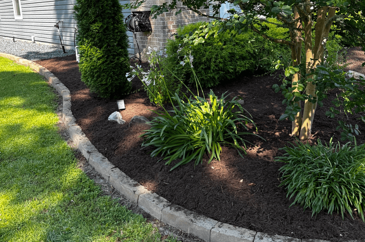 Carolina Beach Landscaping