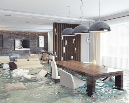 WATER DAMAGE RESTORATION SERVICE