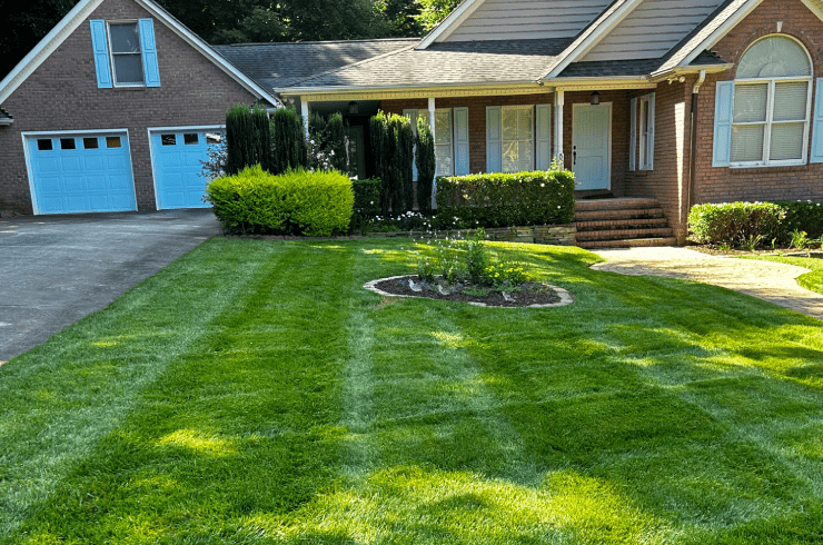 Kingscapes All Your Landscape Needs