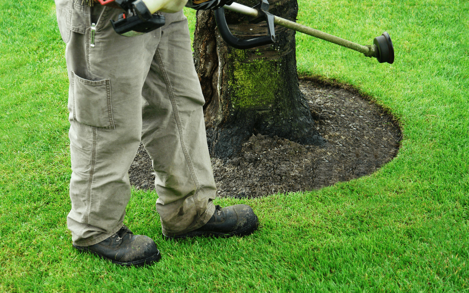 Lawn Edging Services