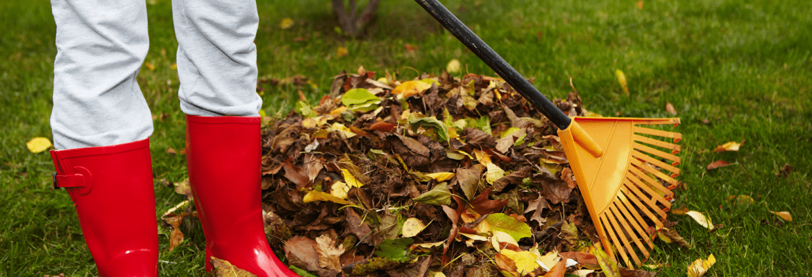 Besamat Handyman Services