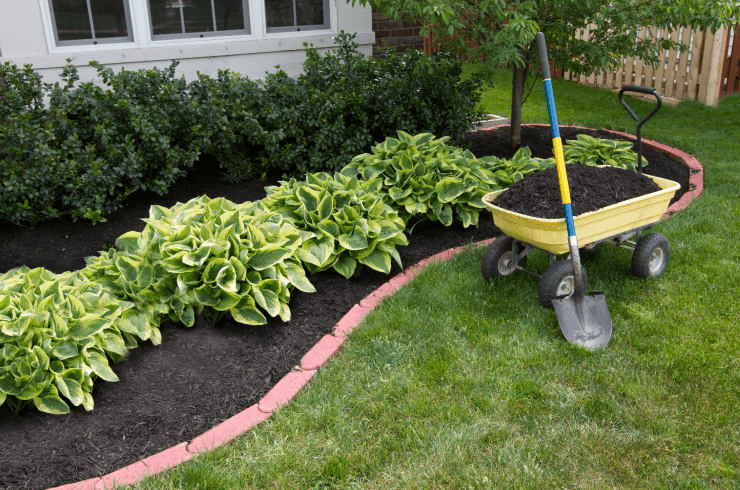 Living Green & Services