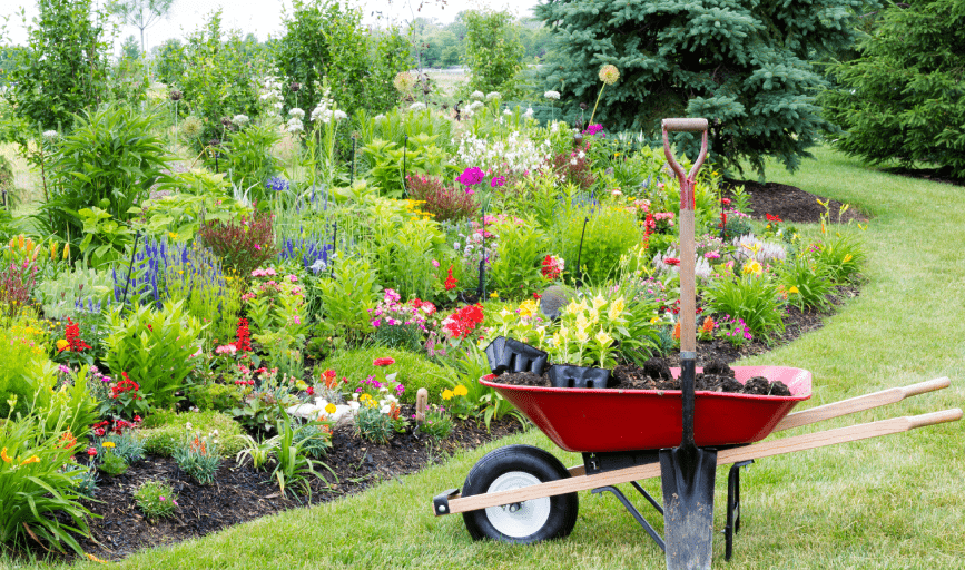 LANDSCAPE MAINTENANCE