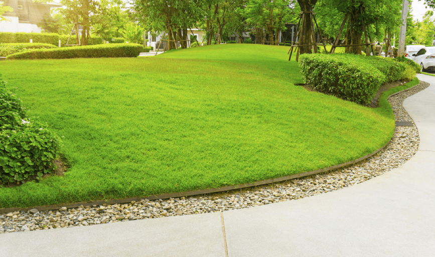 LAWN EDGING SERVICES