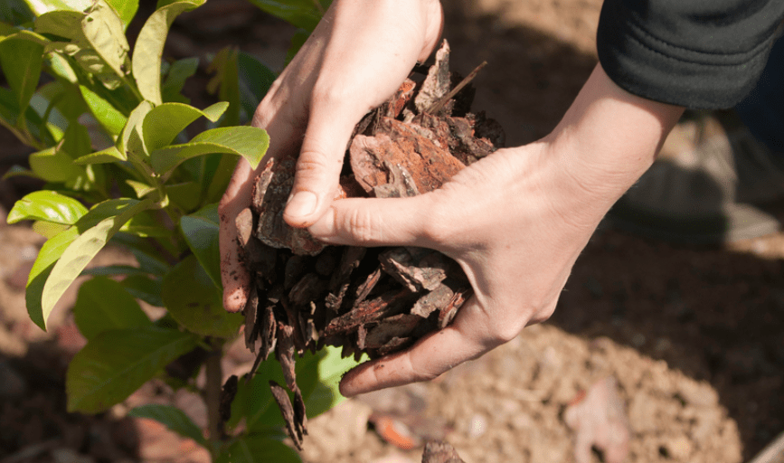 MULCHING SERVICES