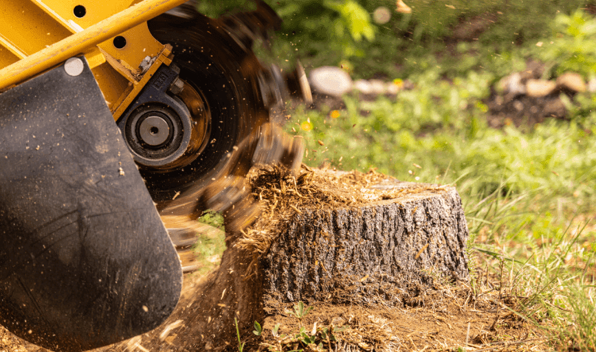 STUMP GRINDING SERVICES