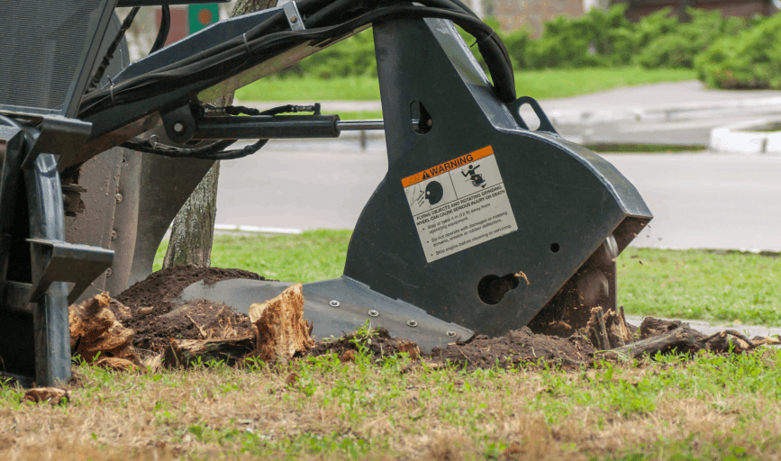 STUMP REMOVAL SERVICES