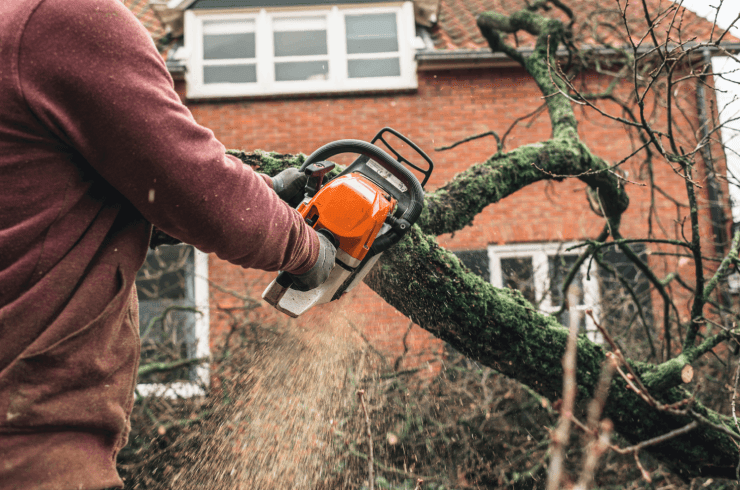 B&B Tree Service