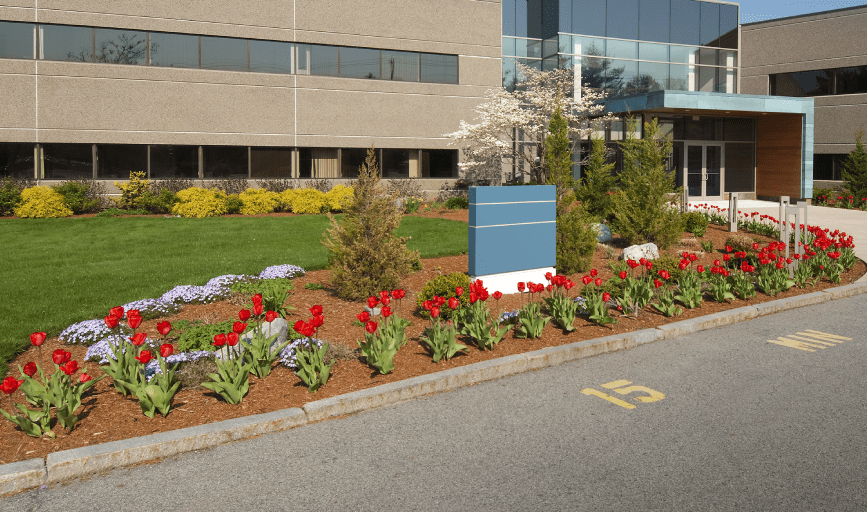 JPM Landscape & Irrigation Services