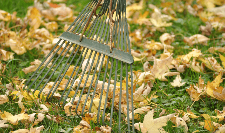 Ruiz Lawn Mowing Service