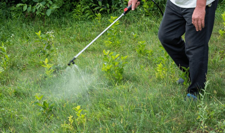 Ruiz Lawn Mowing Service