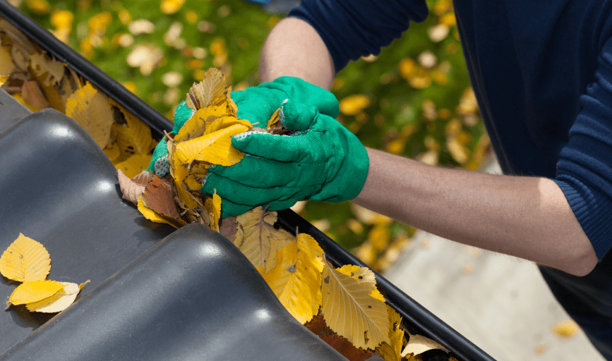 Ruiz Lawn Mowing Service