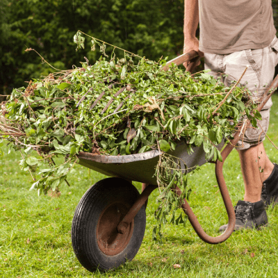 YARD WASTE MANAGEMENT