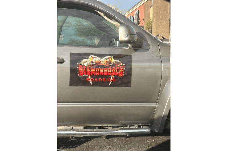 Diamondback Roadside