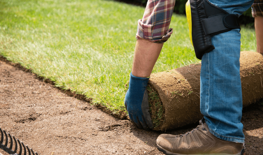 West Texas Yard Solutions