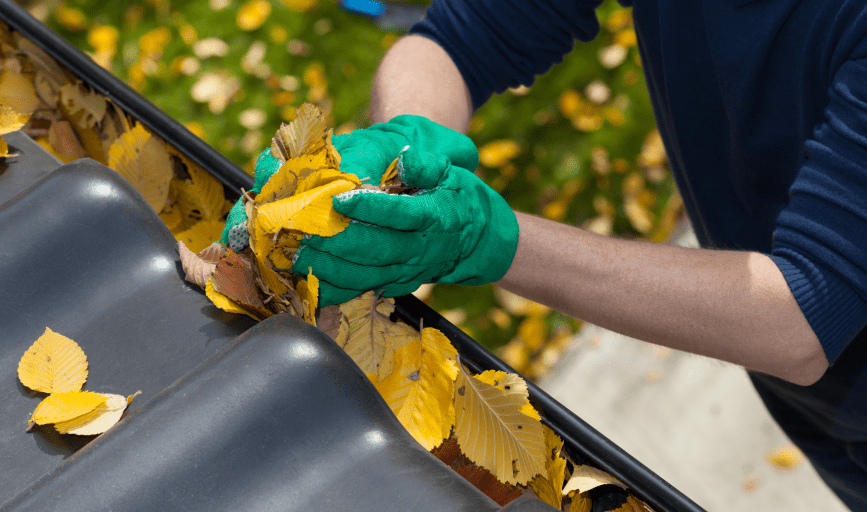 GUTTER CLEANING