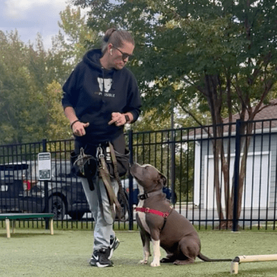 PRIVATE DOG TRAINING