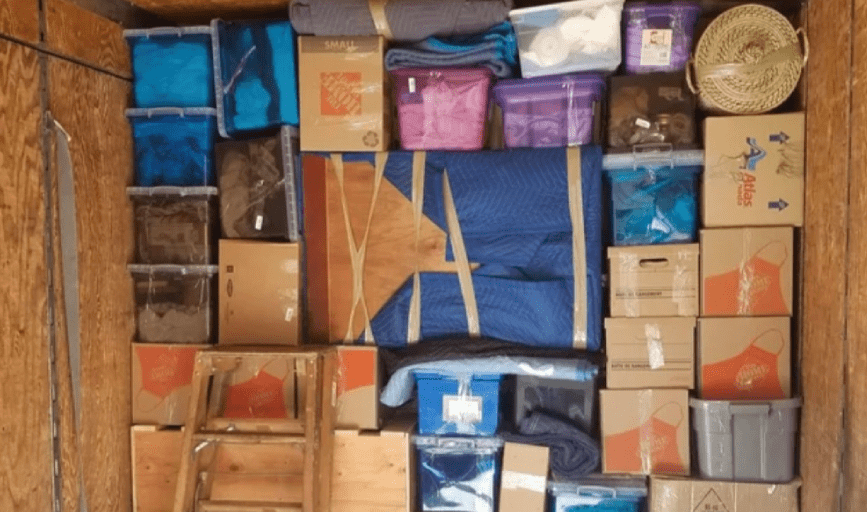 Wheeler Vision The Professionals