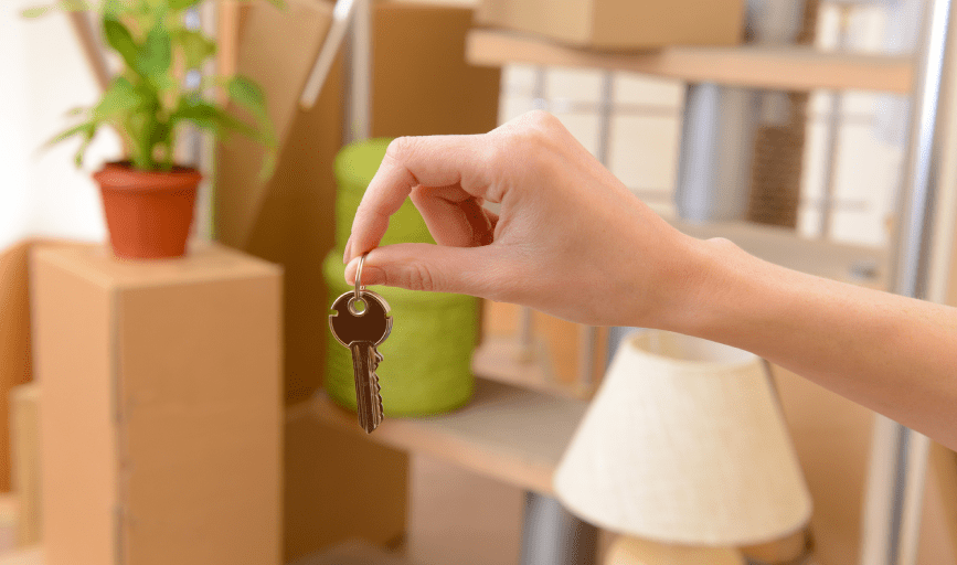 Wheeler Vision The Professionals