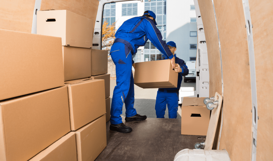 Wheeler Vision The Professionals