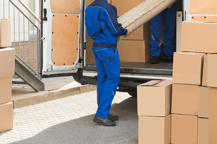 Wheeler Vision The Professionals