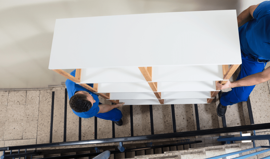 Wheeler Vision The Professionals