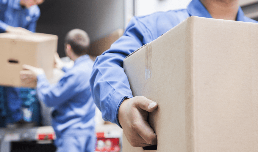 Wheeler Vision The Professionals