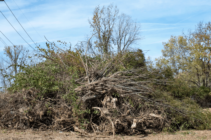 SJH Family Lawn Care